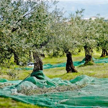 c300e6394586ca3199a6685170934060